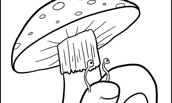 Free Snail and Mushroom Coloring Page - Printable Forest Adventure