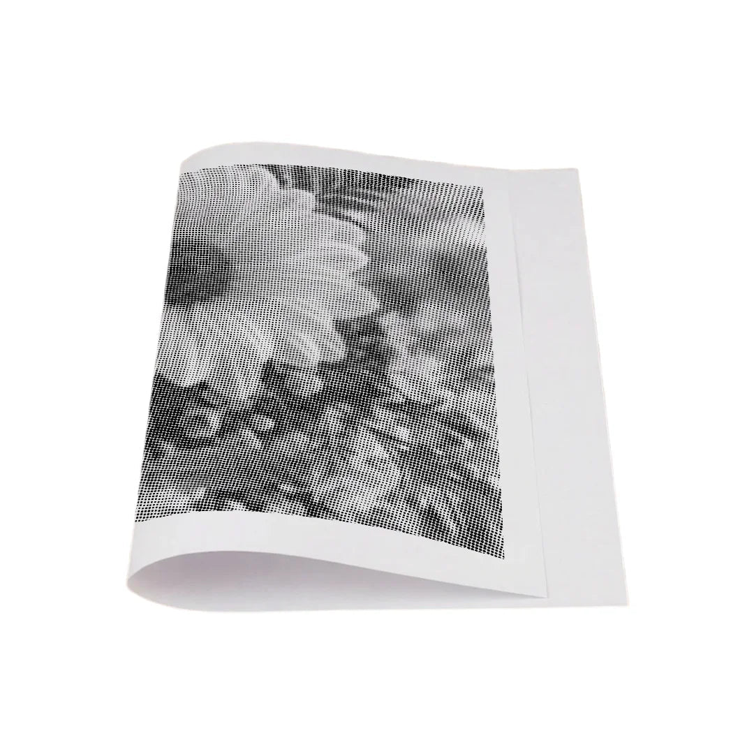 Flowers Dot Painting