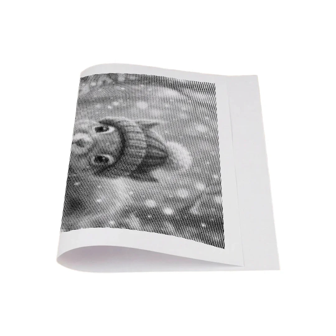 Winter Squirrel Dot Painting