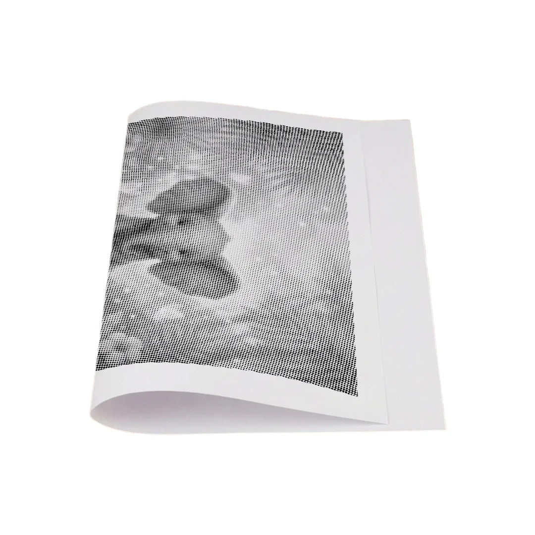 Elephant Reflection Dot Painting