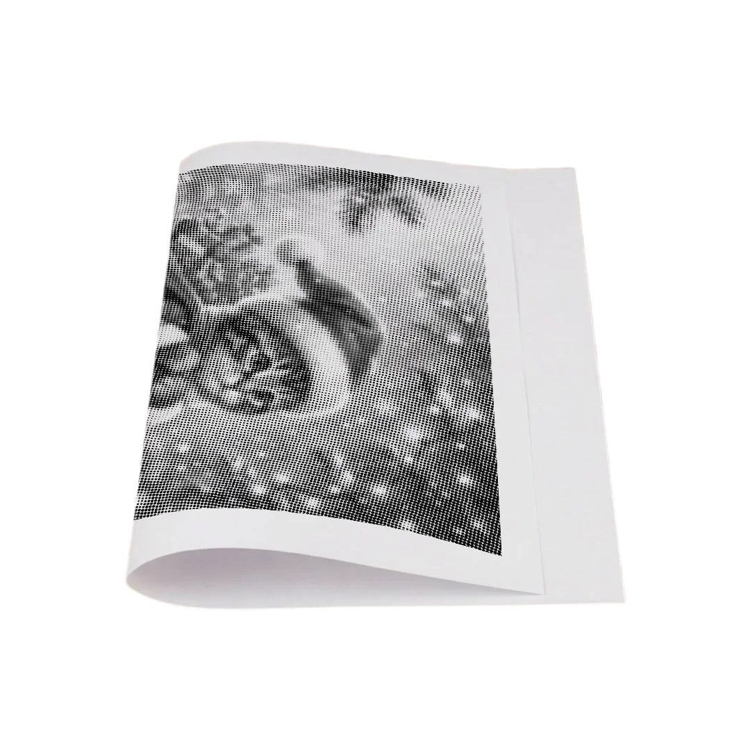 Christmas Cat Dot Painting