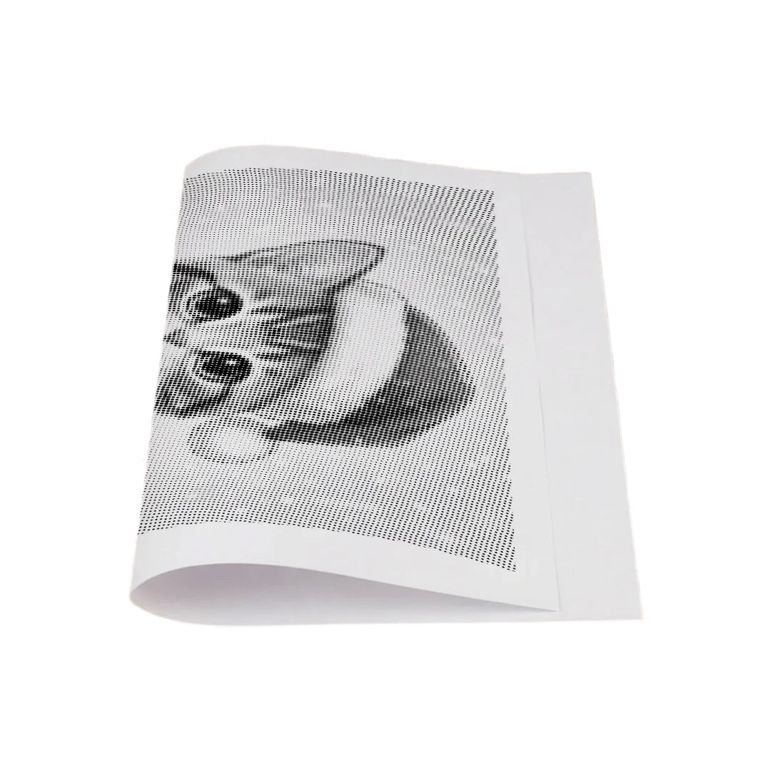 Kitten with Santa Hat Dot Painting