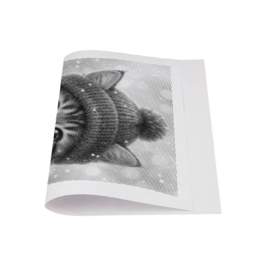 Winter Kitten Dot Painting