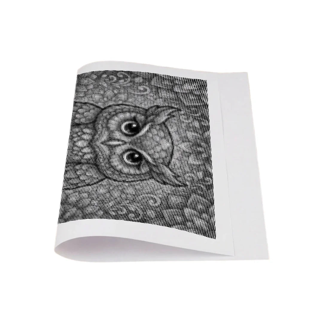 Owl on Branch Dot Painting