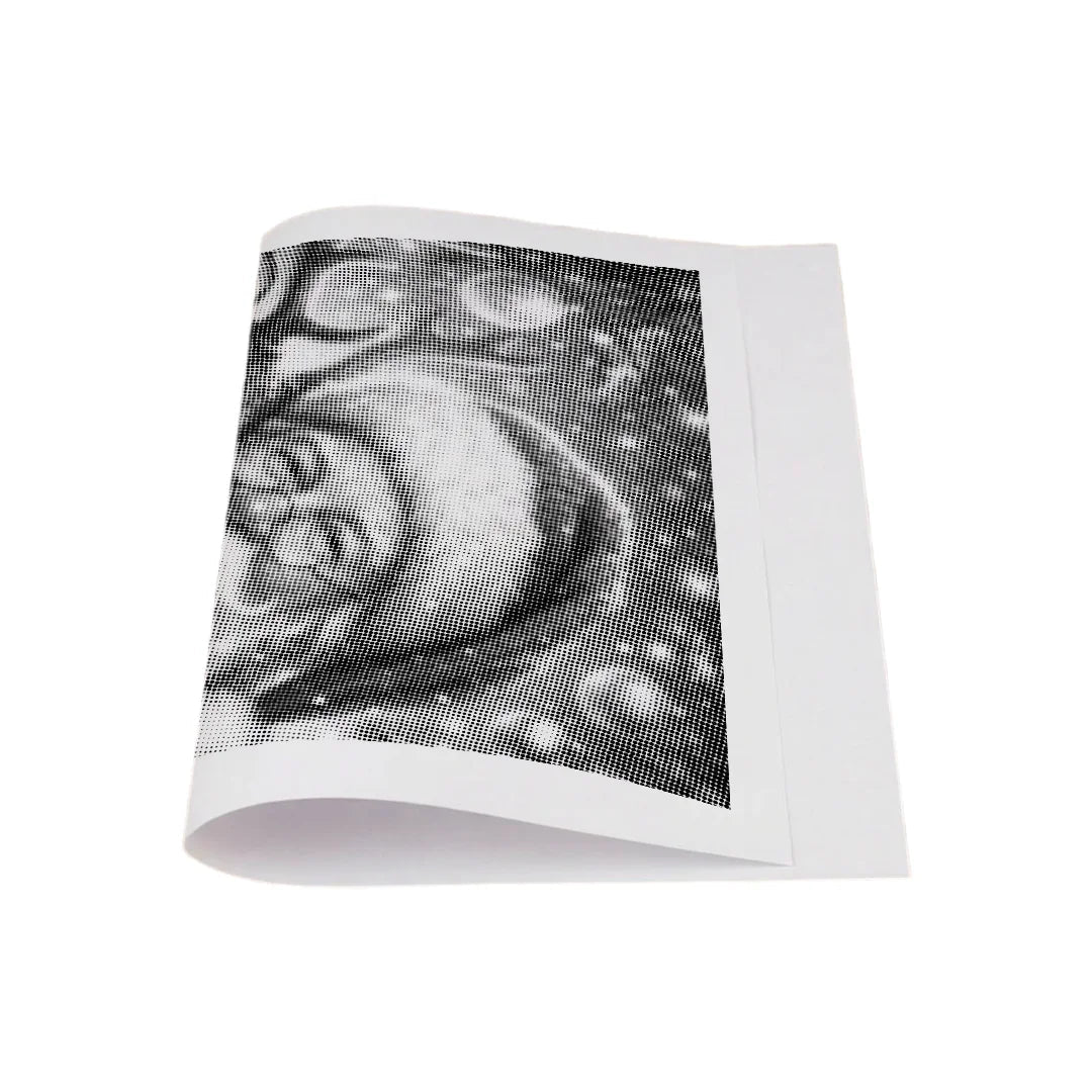 Santa Claus with Reindeer 2 Dot Painting