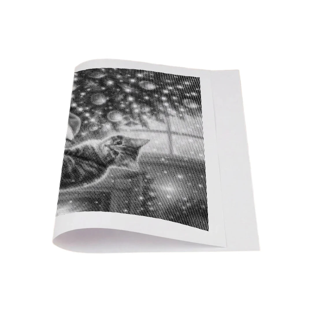 2 Christmascats Dot Painting