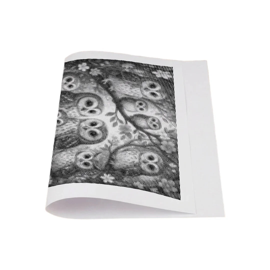 Owls in the Tree Dot Painting