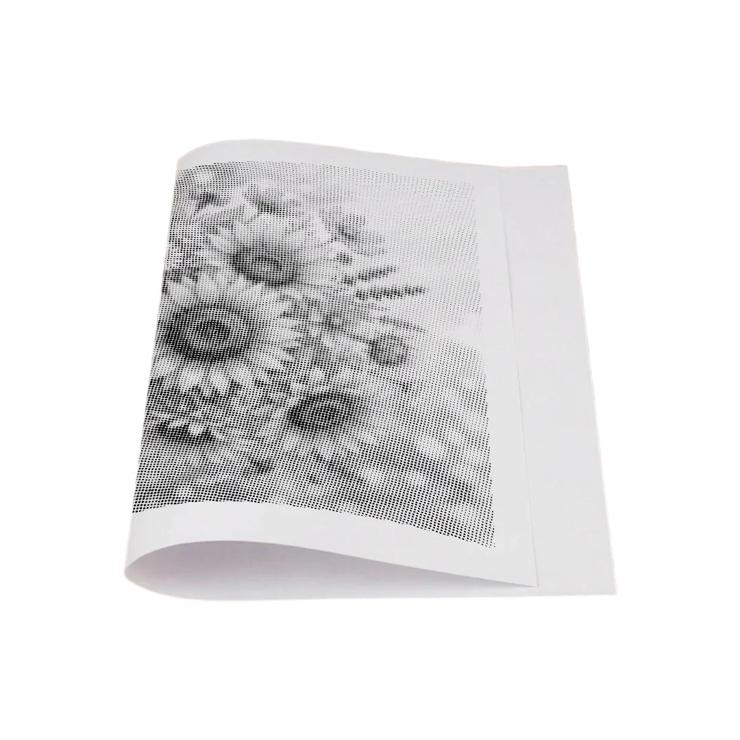 Sunflowers Dot Painting