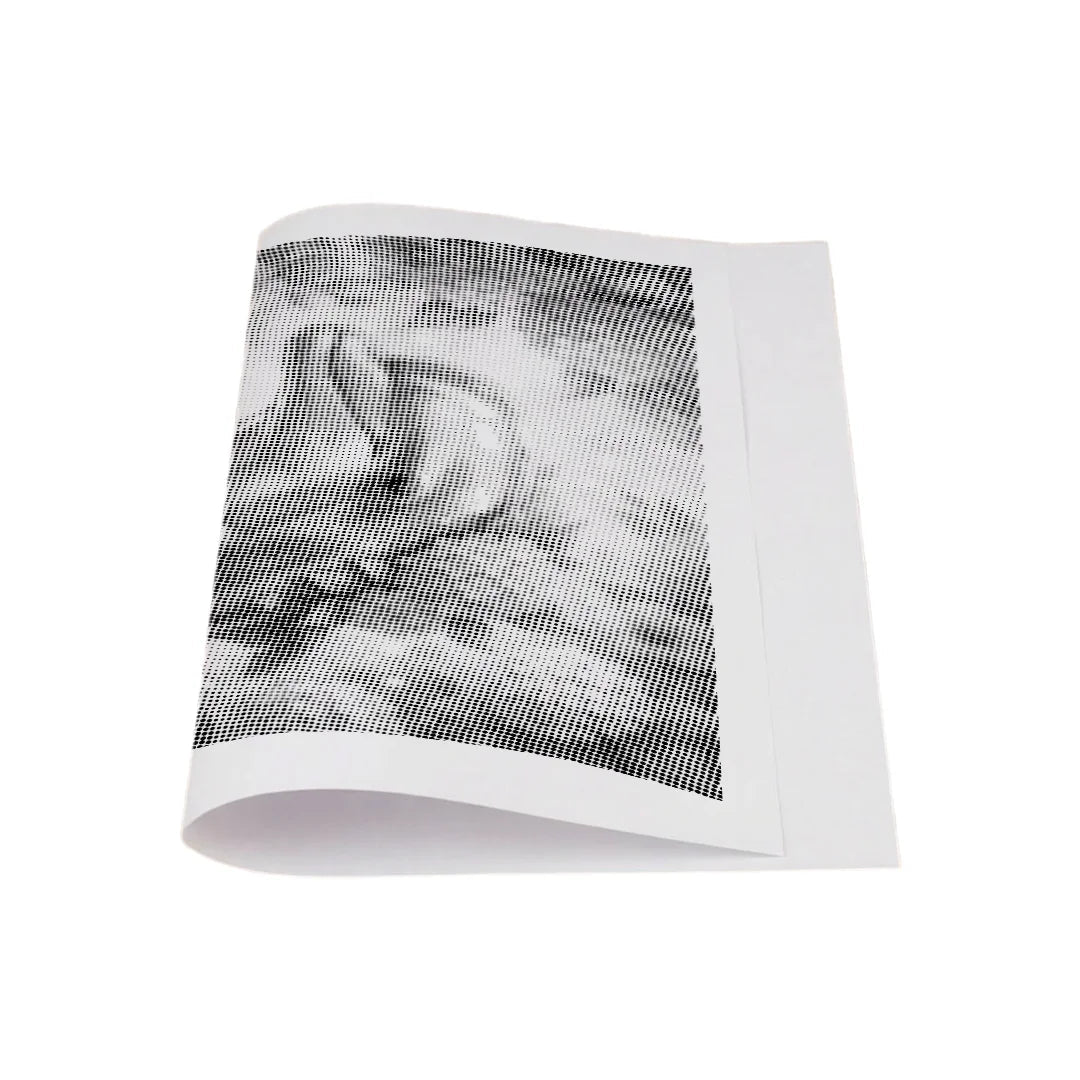 Dolphin Dot Painting
