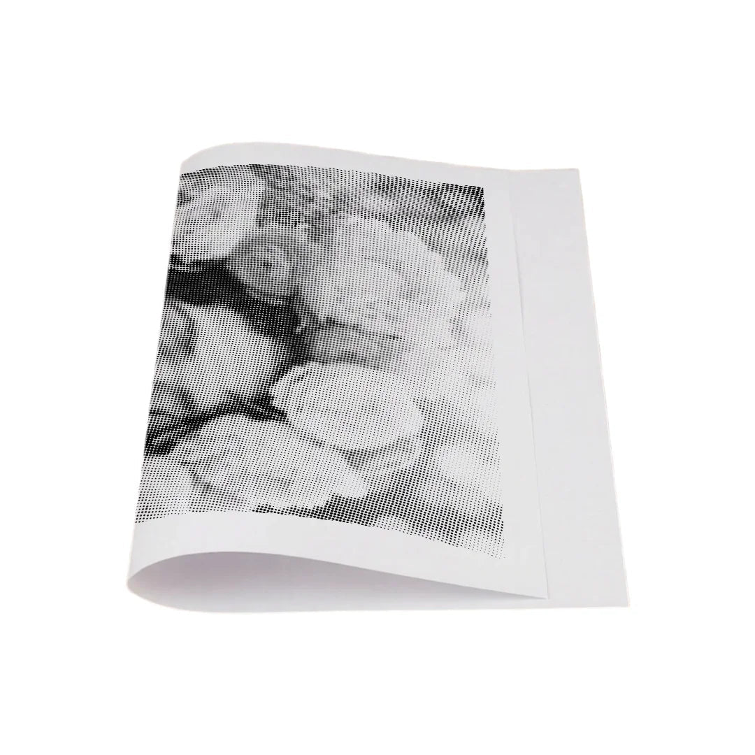 Women with Flowers 2 Dot Painting