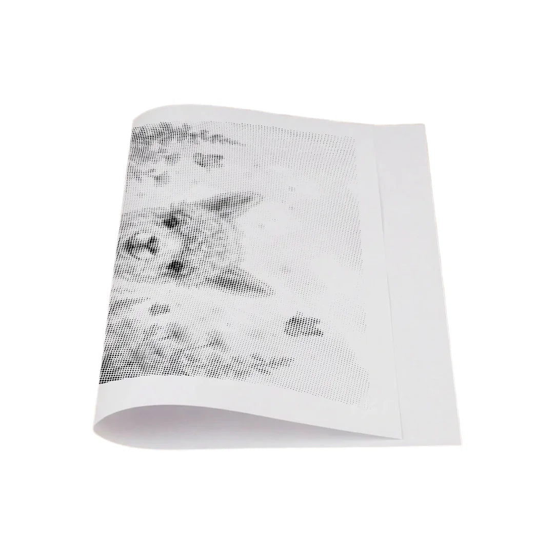 Alpaca with Flowers Dot Painting