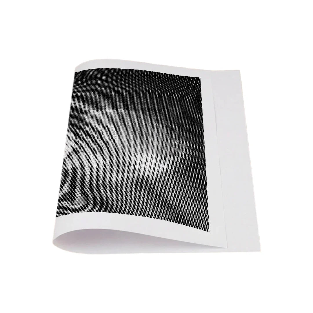 Skull with Flowers Dot Painting