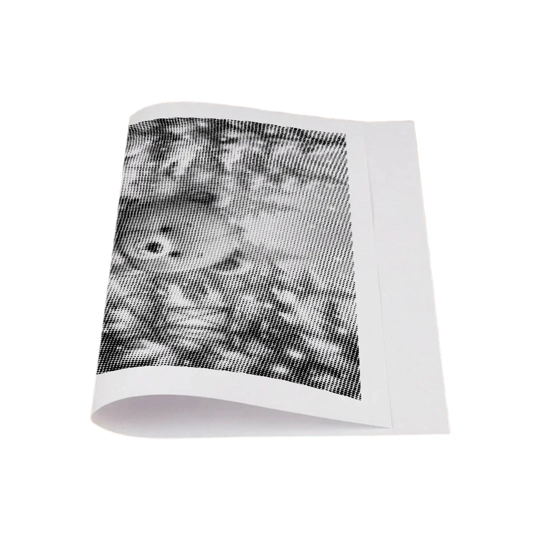 Winter Bear Dot Painting