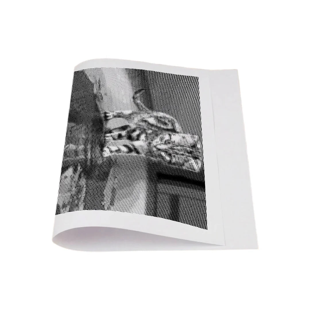 Cat With Tiger Reflection Dot Painting