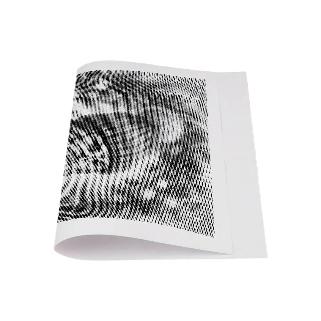 Christmas Owl in the Tree Dot Painting