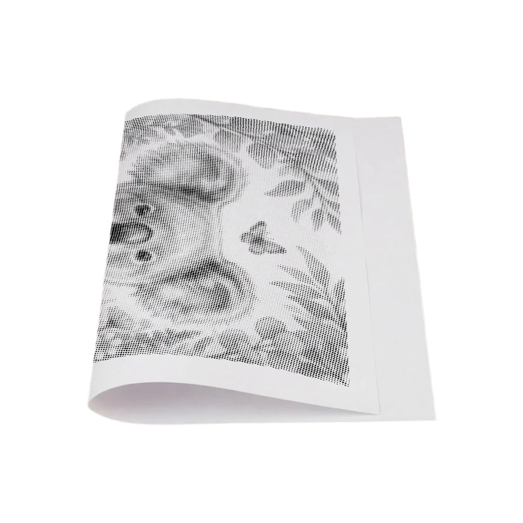 Koala with Flowers Dot Painting