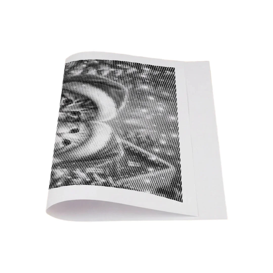 Christmas Kitten Dot Painting