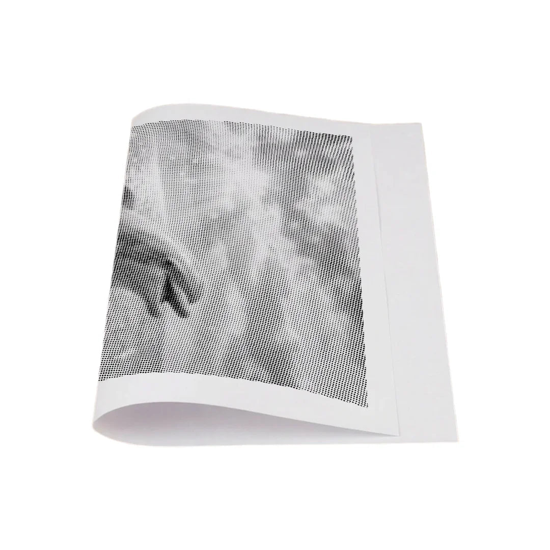 Jumping Dolphin Dot Painting