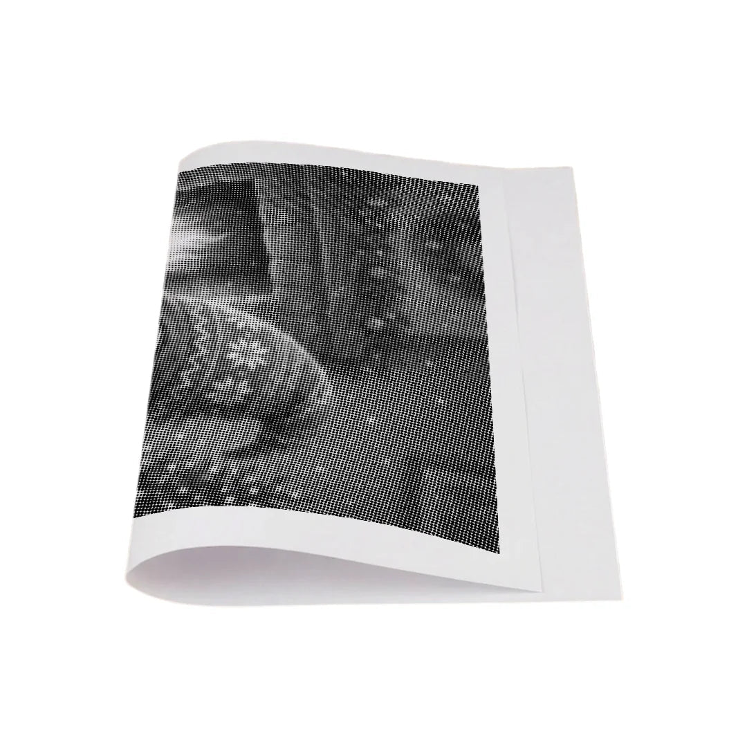 Christmas Gnome Dot Painting