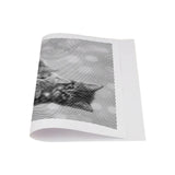 3 Cute Kittens Dot Painting