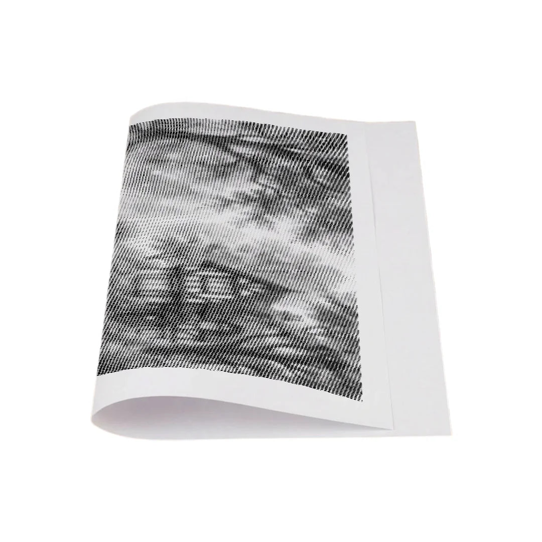 Swan Lake Dot Painting