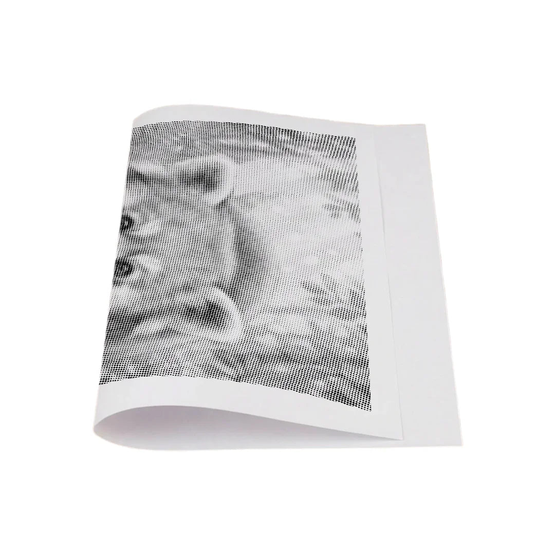 Red Panda with Flowers Dot Painting