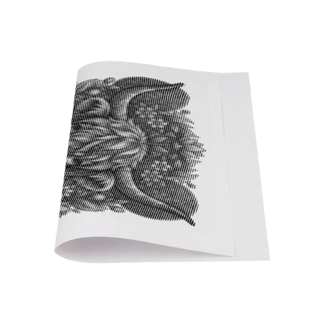 Scottish Highlander Dot Painting