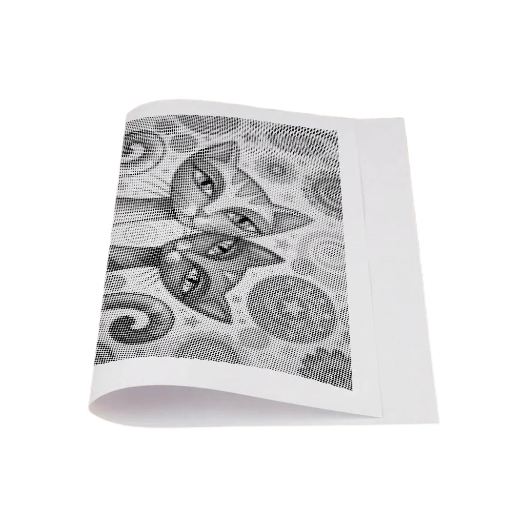 2 Graceful Cats Dot Painting