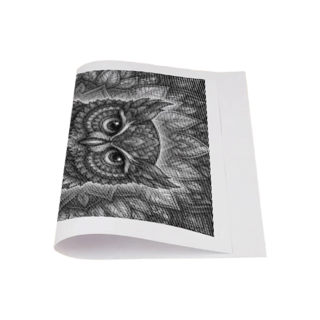 Owl Mandala 2 Dot Painting
