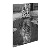Cat With Tiger Reflection Dot Painting