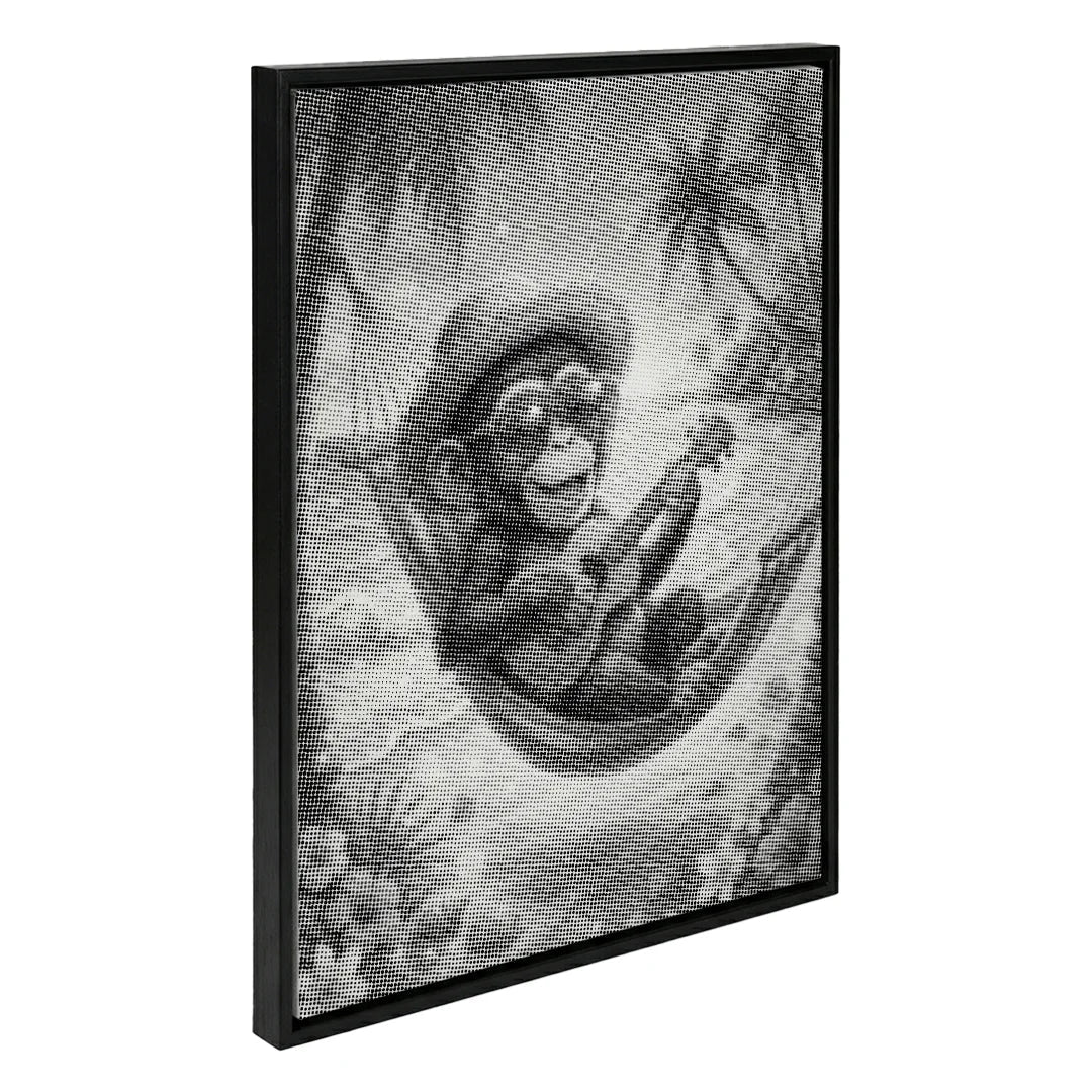 Monkey in Hammock Dot Painting