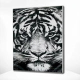 Diamond Painting - Black and White Tiger