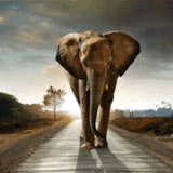 Diamond Painting - Elephant on the Road