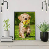 Diamond Painting - Labrador & Flower