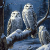 Diamond Painting - Uilen in de Sneeuw