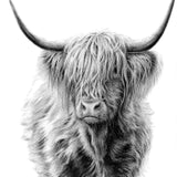 Diamond Painting - Scottish Highlander Black