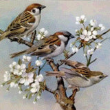 Diamond Painting - Sparrows on a Branch