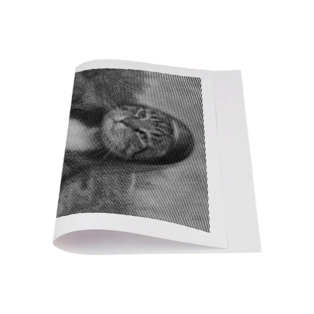 Mona Lisa Cat Dot Painting