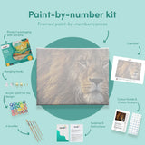 Painting by numbers Beautiful Lion