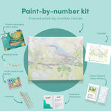 Painting by numbers Blue Bird