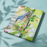 Painting by numbers Blue Bird