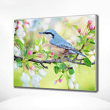 Painting by numbers Blue Bird