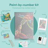 Painting by numbers Colourful Turtles