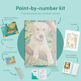 Painting by numbers Labrador puppy