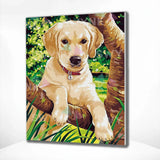Painting by numbers Labrador puppy