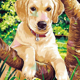 Painting by numbers Labrador puppy