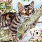 Malowanie po numerach Śpiący kot na drzewie