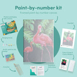 Painting by numbers Two Flamingos