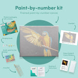 Paint by numbers Kaunis Papukaija