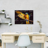 Paint by numbers Kaunis Papukaija